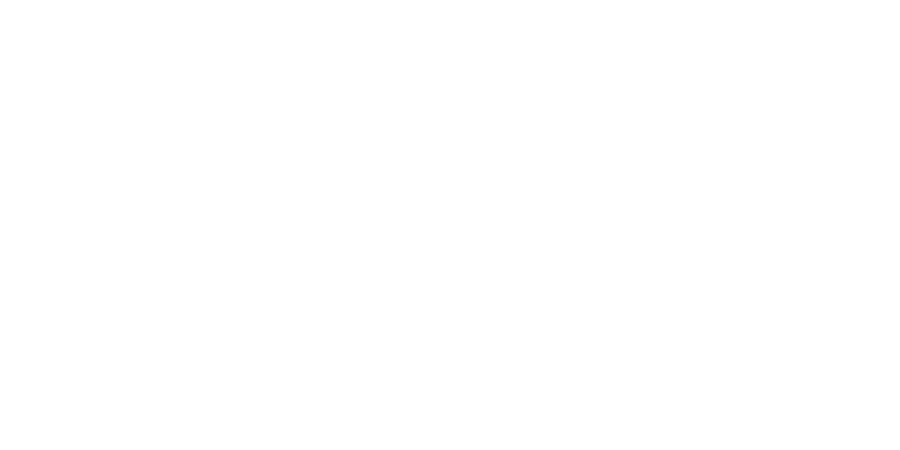 nalp logo foundation